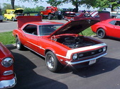 Enlarge photo 177