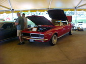 Enlarge photo 208
