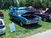 Enlarge photo 256