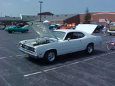 Enlarge photo 278