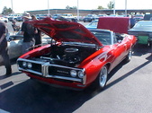 Enlarge photo 863