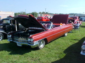 Enlarge photo 2478