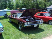 Enlarge photo 257