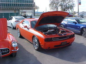 Enlarge photo 2754