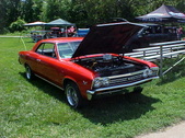 Enlarge photo 258