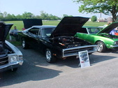 Enlarge photo 118