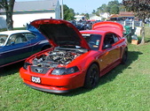 Enlarge photo 2501