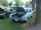 Enlarge photo 522