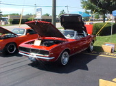 Enlarge photo 723