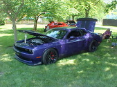 Enlarge photo 238