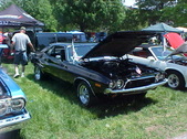 Enlarge photo 260