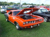 Enlarge photo 1573