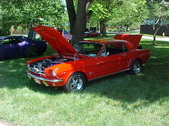 Enlarge photo 239