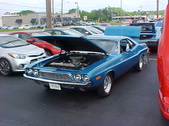 Enlarge photo 421