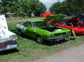 Enlarge photo 214