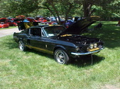 Enlarge photo 240