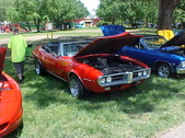 Enlarge photo 216
