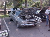 Enlarge photo 679