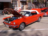 Enlarge photo 753