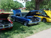 Enlarge photo 217