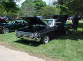 Enlarge photo 243