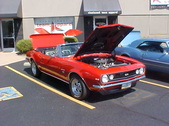 Enlarge photo 729