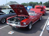 Enlarge photo 1375