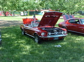 Enlarge photo 218