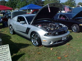 Enlarge photo 2495