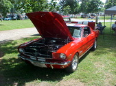 Enlarge photo 529