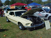 Enlarge photo 2493