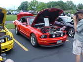 Enlarge photo 597
