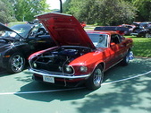 Enlarge photo 268