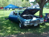 Enlarge photo 247