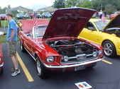 Enlarge photo 599