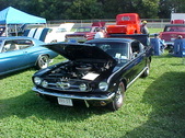 Enlarge photo 1521
