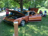 Enlarge photo 248