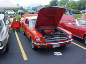 Enlarge photo 601