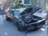 Enlarge photo 51