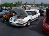 Enlarge photo 402