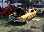 Enlarge photo 971