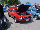 Enlarge photo 1770