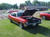 Enlarge photo 466