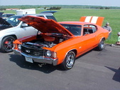 Enlarge photo 197