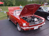 Enlarge photo 1103