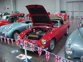 Enlarge photo 318