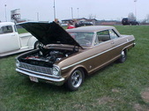 Enlarge photo 481
