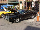 Enlarge photo 2171