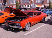 Enlarge photo 4543