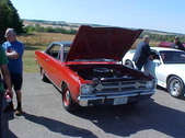 Enlarge photo 4901